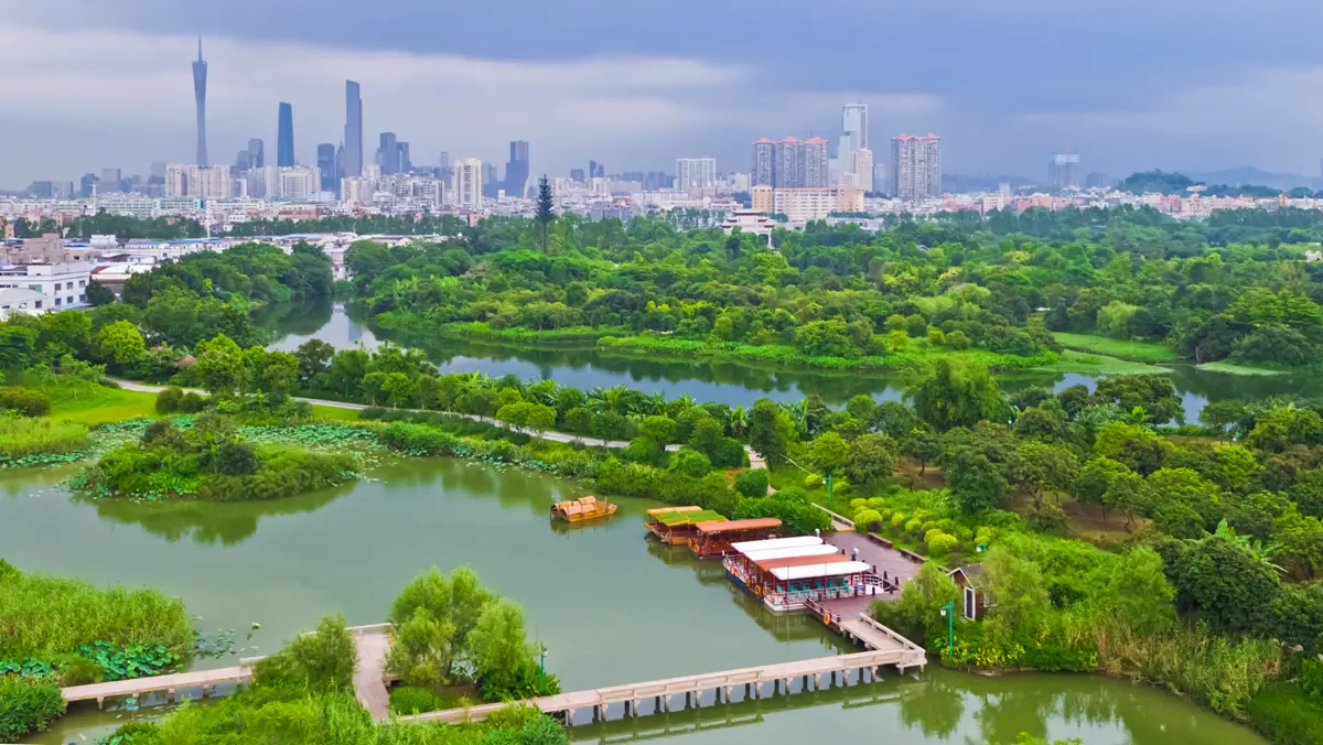 High-angle view of dock pavilions, wooden bridge walkways, lotus ponds, and the central Guangzhou CBD skyline