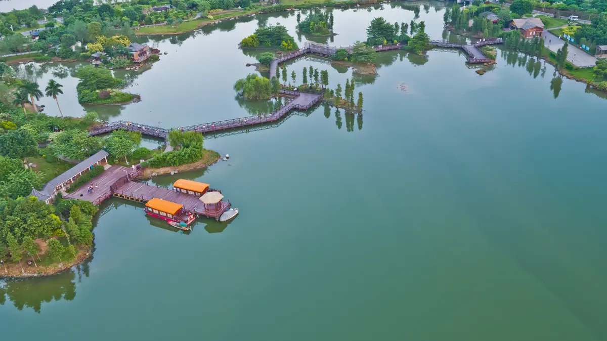 Aerial perspective of winding wooden boardwalk bridges connecting small green ecological islands across Haizhu Lake