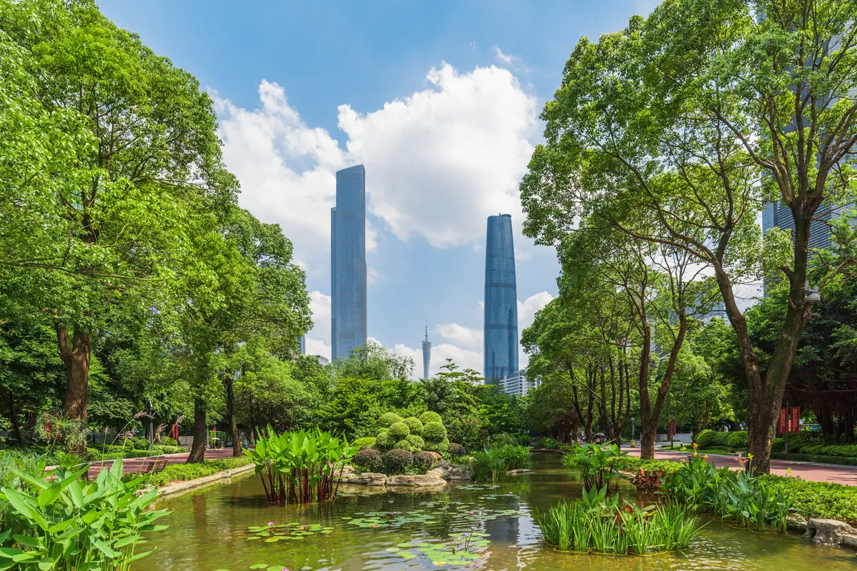 Tranquil reflecting pool covered with lotus pads surrounded by lush trees and distant CBD skyscrapers in Huacheng Square