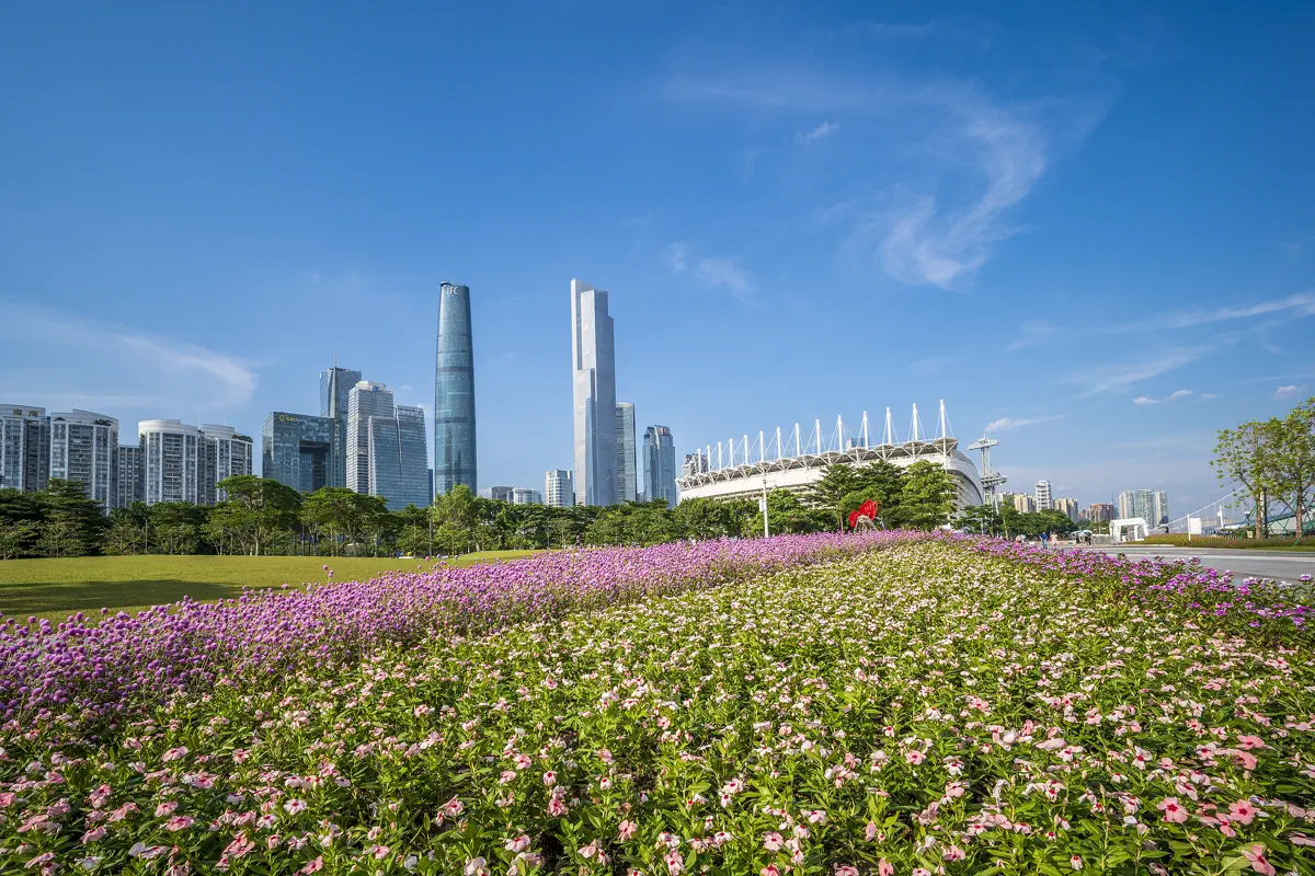 Colorful field of blooming purple and pink flowers in the foreground with Haixinsha Stadium and CBD towers under a bright blue sky