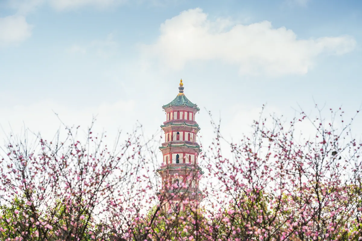 Eight-sided nine-storey brick Lianhua Pagoda framed by pink spring tree blossoms against blue sky