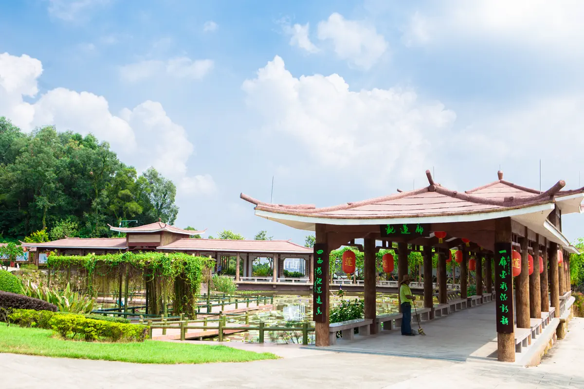 Winding covered wooden walkways and serene lily ponds in Lotus Wonderland