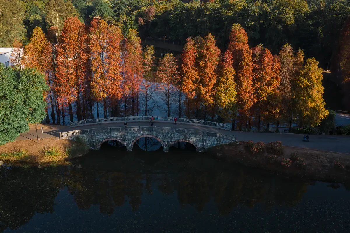 Stone arch bridge over a tranquil lake with copper-red bald cypress trees glowing in autumn sunlight