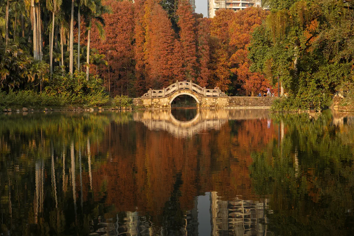 Iconic Longdong Qilin landscape showing palm trees, arched stone bridge reflections, and colorful autumn cypress forest