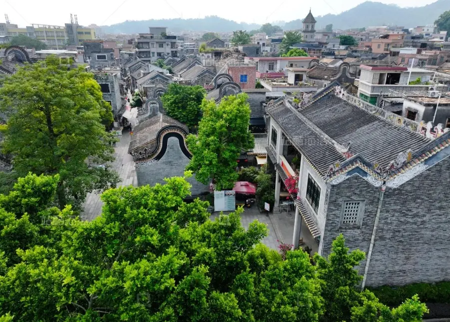 Shawan Ancient Town(沙湾古镇)